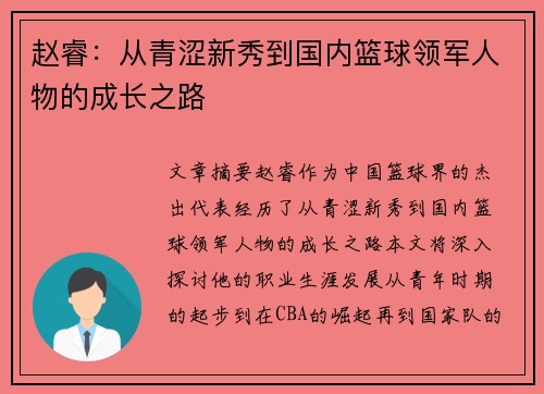 赵睿：从青涩新秀到国内篮球领军人物的成长之路